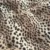 Wild Cheetah