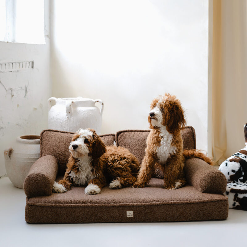 MORFID Sofa™ L<br> <strong>✦ Designerska sofa premium </strong><br> 100× 70× 10 cm